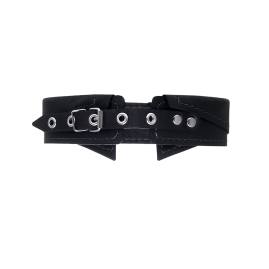 Ошейник-воротник Pecado с поводком